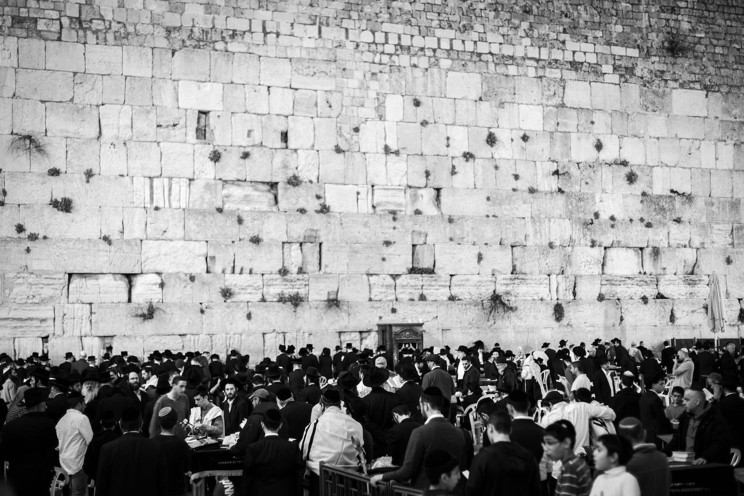 2020_6Z9A0364-wall Western Wall