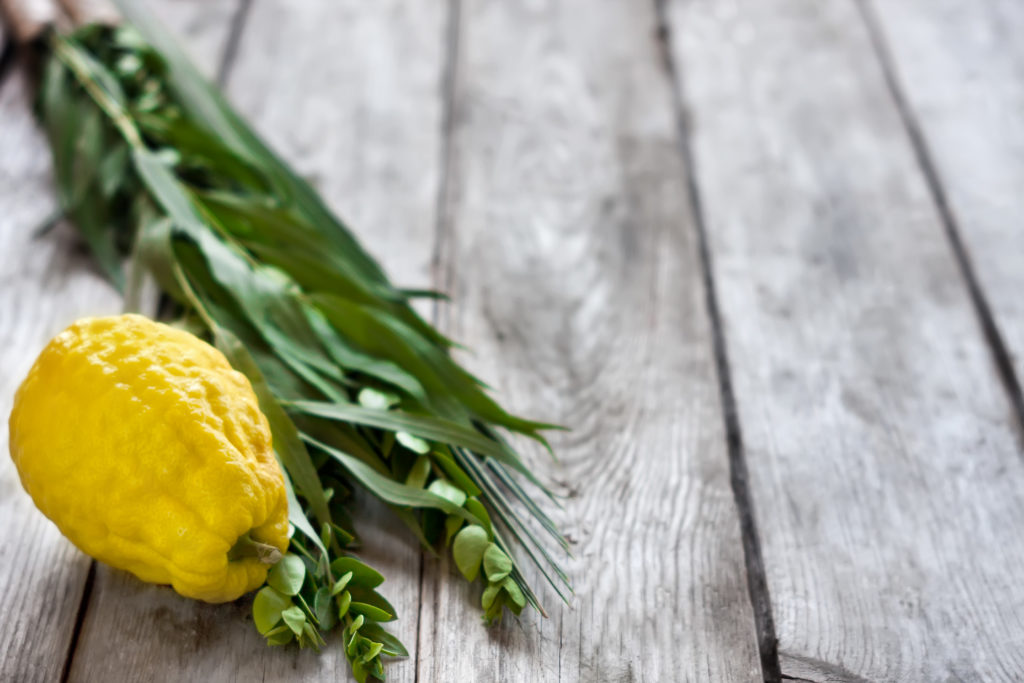 Sukkot