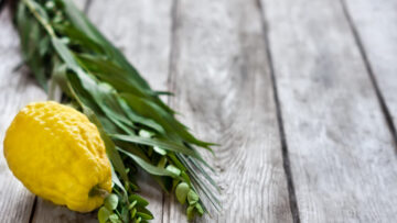 Sukkot