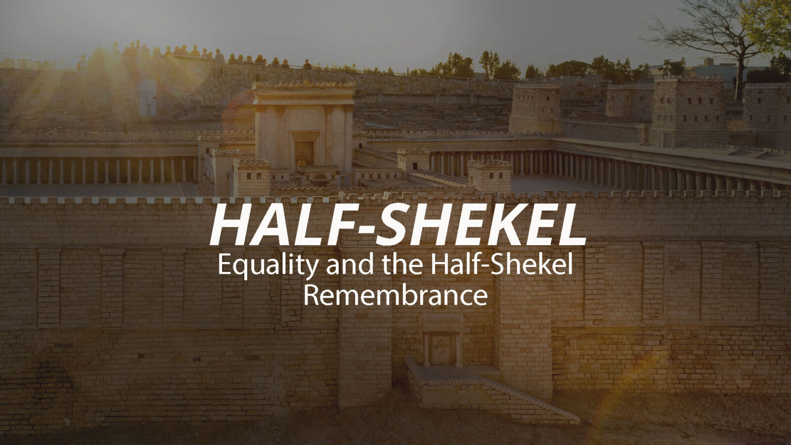 Equality Half-Shekel Remembrance