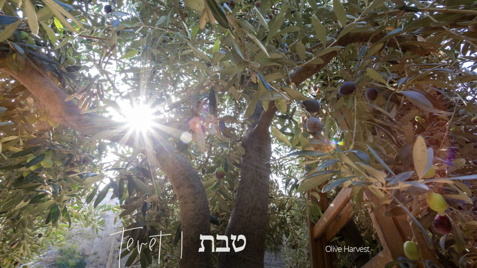 tevet-the-month-of-divine-grace-in-the-hebrew-calendar-fusion-global